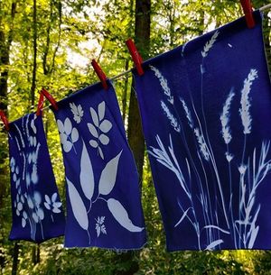 Cyanotype Botanical Scarf Workshop