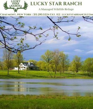 Clay Shooting Party and Dinner at Lucky Star Ranch