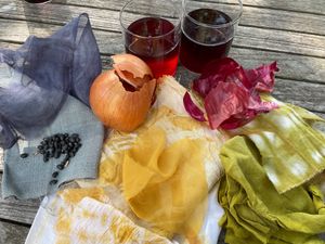 Natural Dyeing with Seasonal Produce (July)