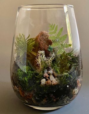 River Memories Terrarium