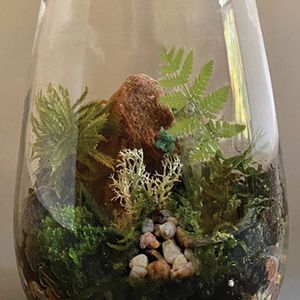 River Memories Terrarium