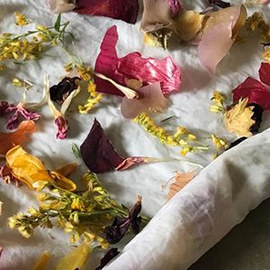 Botanical Bundle Dyeing