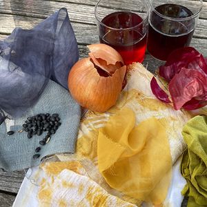 Natural Dyeing with Seasonal Produce (September)