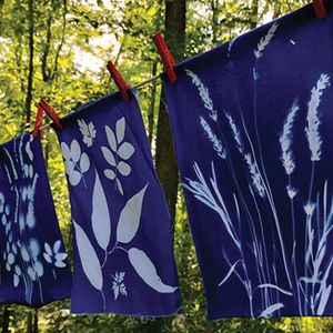 Cyanotype Botanical Scarf Workshop
