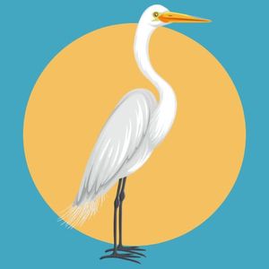 Egret Membership