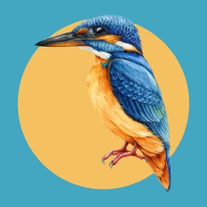 Kingfisher Membership
