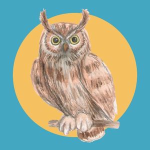 Great Horned Owl Membership