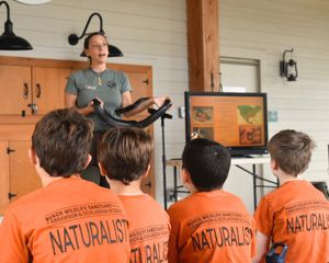 Friday Junior Naturalist (12-14)
