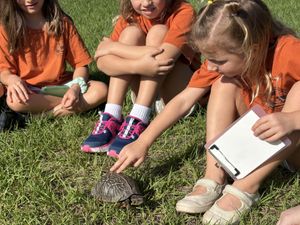 Saturday Mini Junior Naturalist