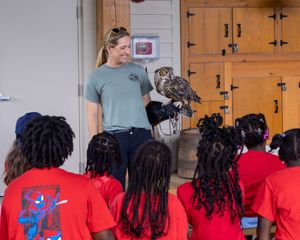 Learning Lab: Backyard Biologist (9-14)