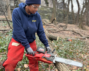 Chainsaw