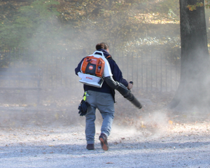 Electric Leaf Blower