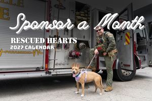 Sponsor a Month