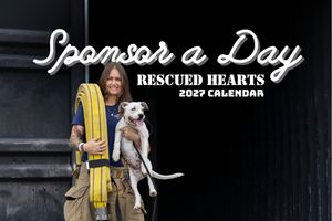 Sponsor a Day
