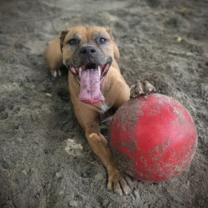 Ruby