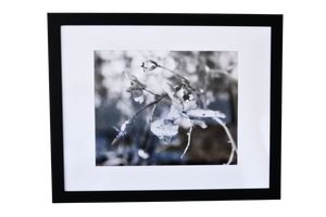11x14 Photo by Avery Y.