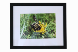 8x10 Photo by Philip L.