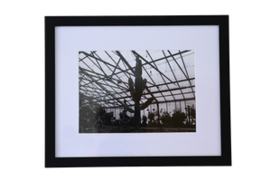8x10 Photo by Lisa M.