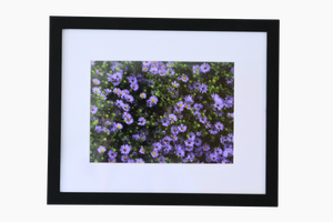 8x10 Photo by Micah H.
