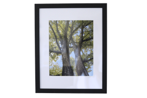 11x14 Photo by Lexi P.