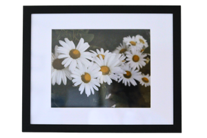 11x14 Photo by Saaimah C.