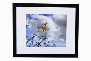 11x14 Photo by Suhaila J.