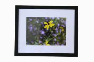 8x10 Photo by Saaimah C.