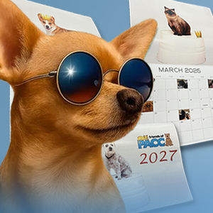 2027 Pet Calendar